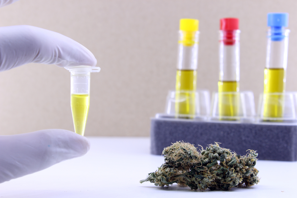 The Importance of Lab Testing in Cannabis and Cannabis Products