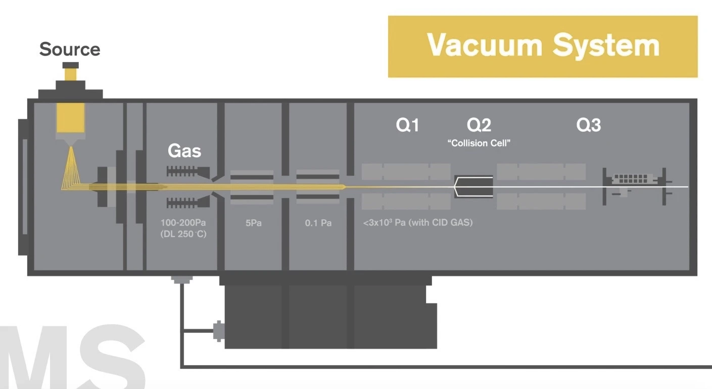 LC-MS quadrupole (Q1/Q2/Q3) illustration