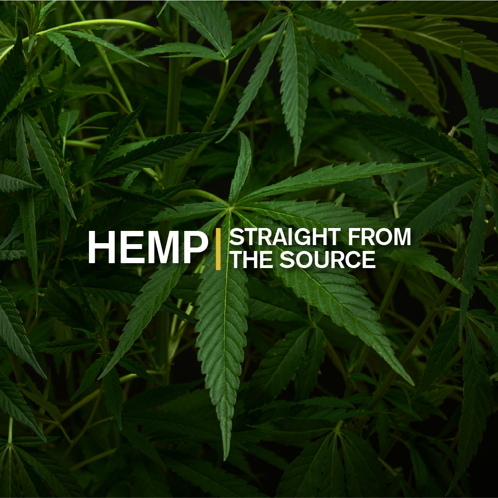 Farmer Story: Border Brook Farm